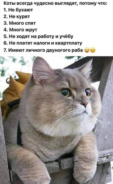 Где-то так... )))