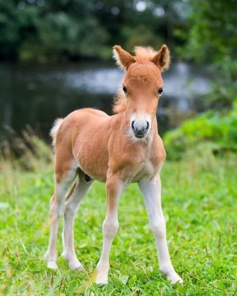 09-26-55-206341921 277329610844622 5377702727062003709 n