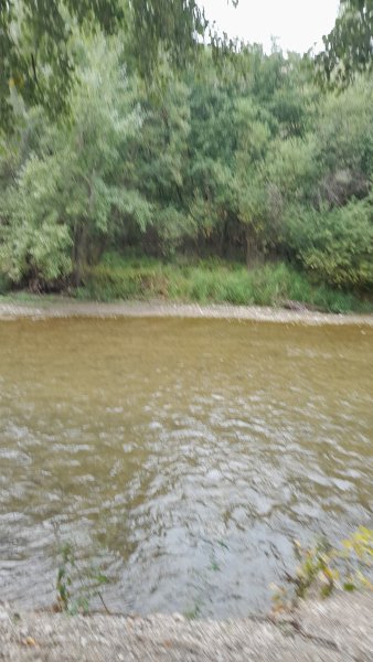 picture_397203801