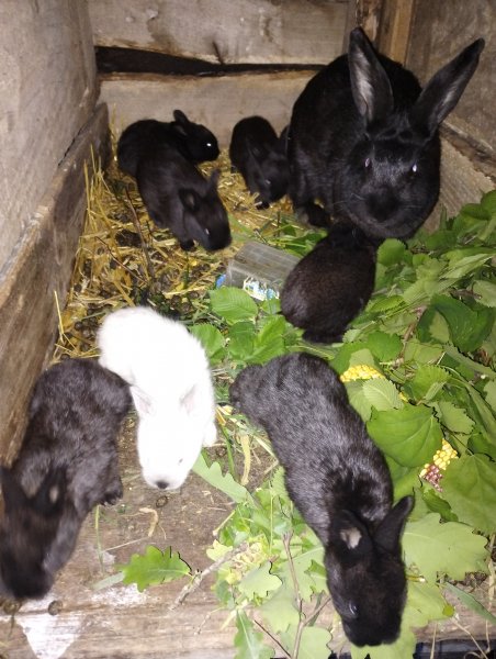 Детство Эминема