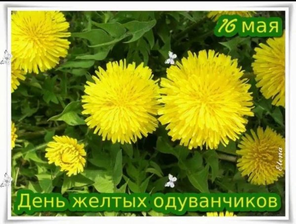 Изображение viber 2023-05-16 04-34-53-407