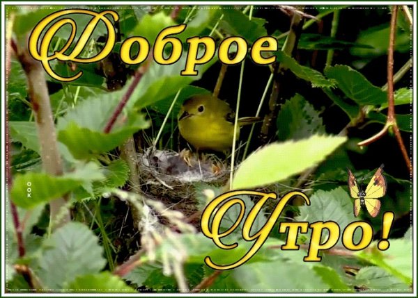 Всем!