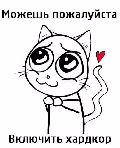 Кот по хк