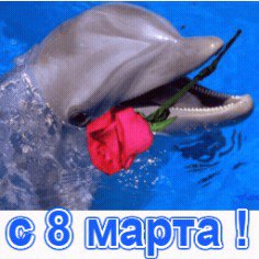 С 8 МАРТА