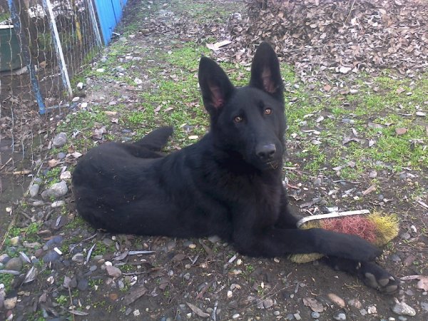 Мэй-Сан 20.12.2014