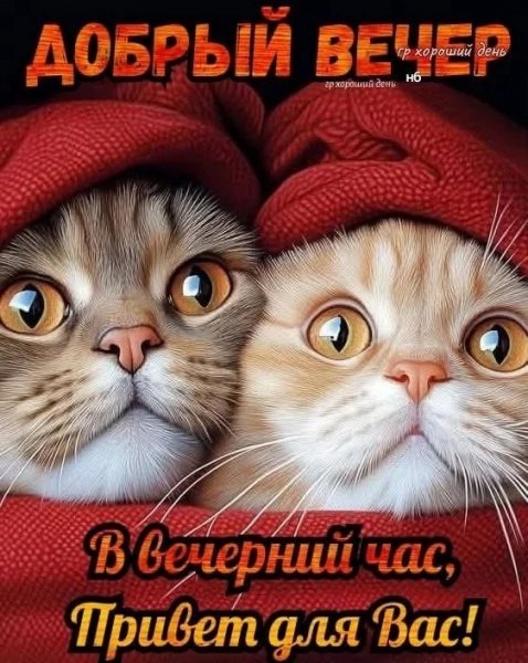 IMG 20260228 201517 108