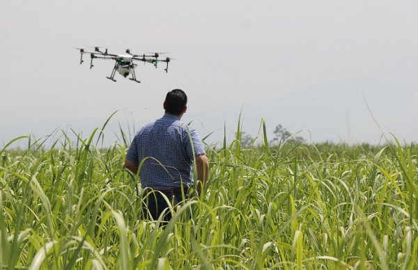 drone