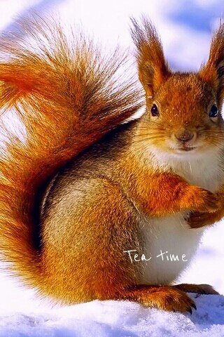 IMG 20180206 150346 5