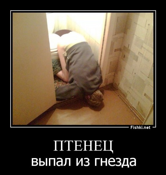 pics