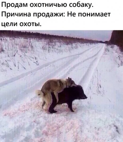 Poshlye-memy-i-chernyj-jumor-18-podborka-189-12