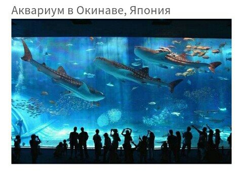 Хотели бы там побывать?