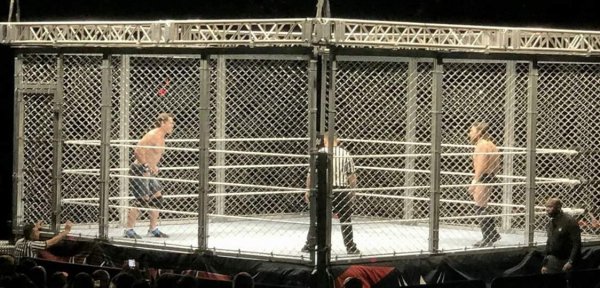 Wwe (217)