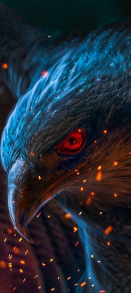 Android Wallpaper (669)