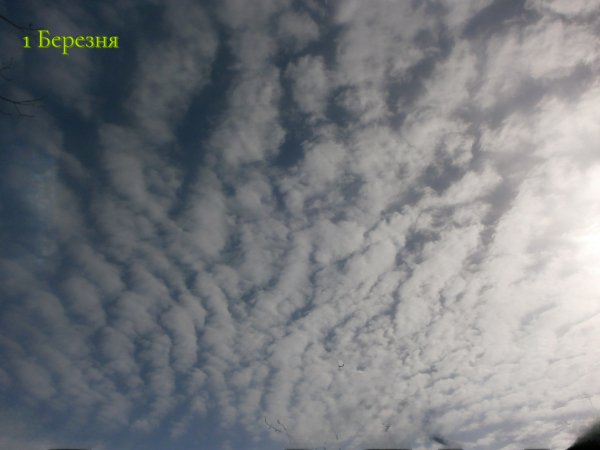 1 Березня