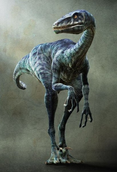 Velociraptor
