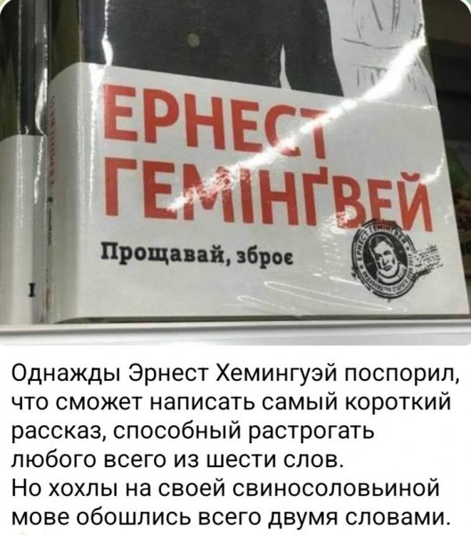 IMG 20260211 095722