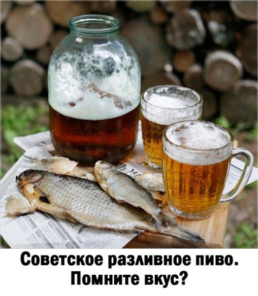 IMG 20240201 091351