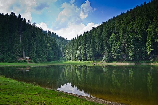 Простори Синевиру
