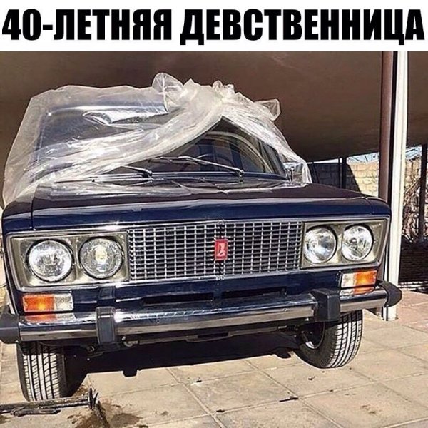 Тазы Рулят