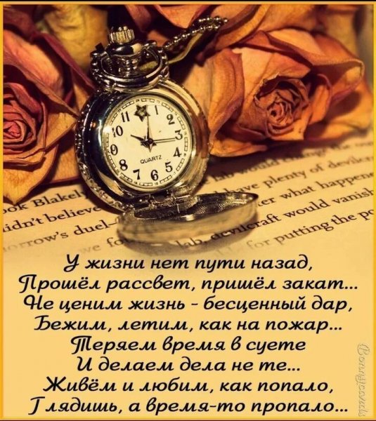 Верные слова!