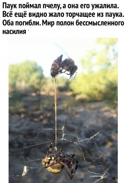 wCdmuSg8p26PMwU-irGyNG0quK53UvWA-N3tFw5jVyemMtLNJEMJf8Isv7