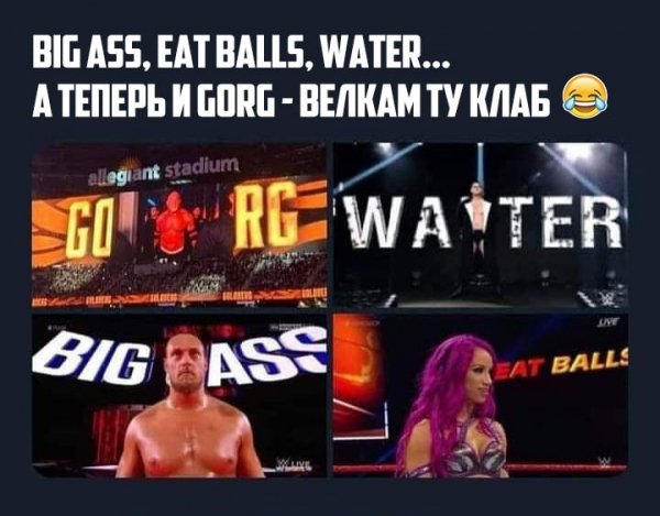 Wwe (377)