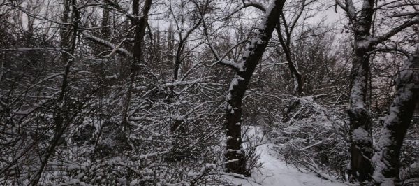 Зимняя сказка