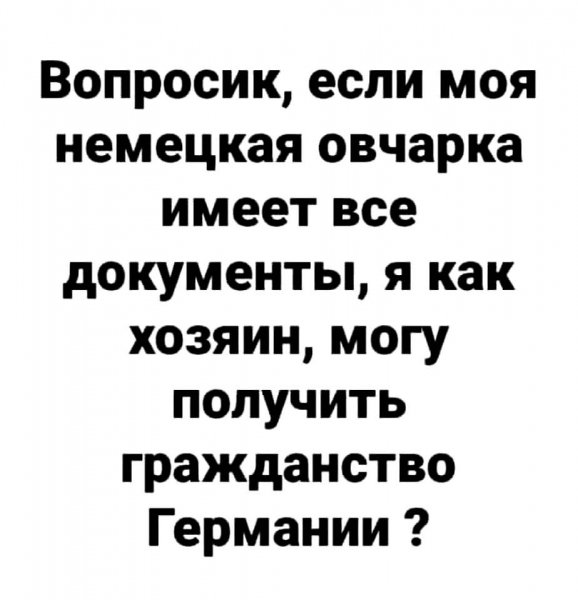 IMG-691905fbd837bf6c147b4d638e849097-V