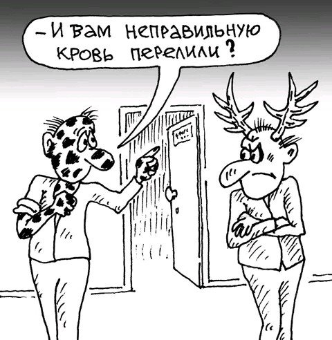 Кровь попутали