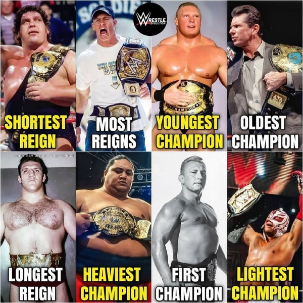 WWE (446)