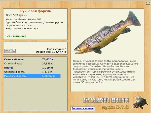 Ручьевая форель