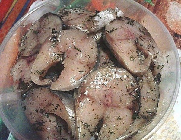 Скумбрия