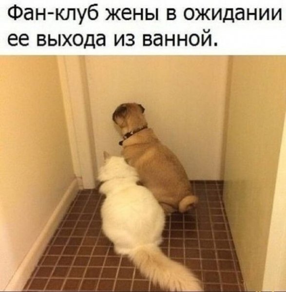 c6aae75 20390401