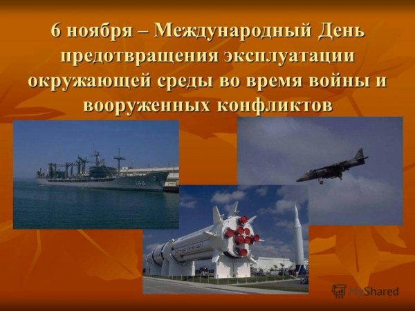 6 ноября