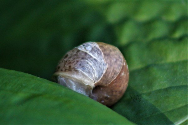 62b349e844bb2 IMG 6065