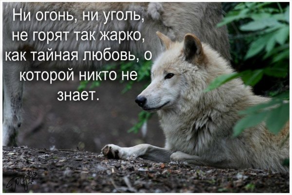 LJ87kKLYXbE