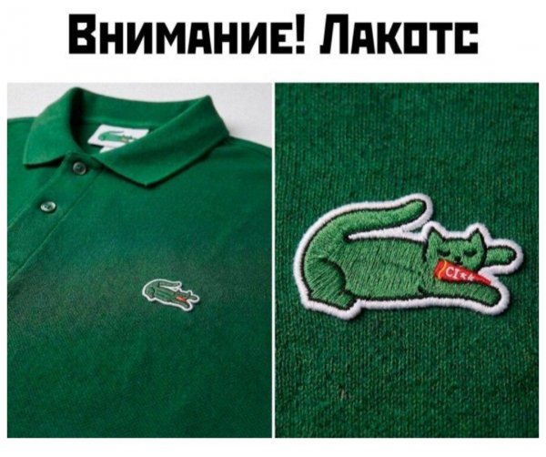 Бренд