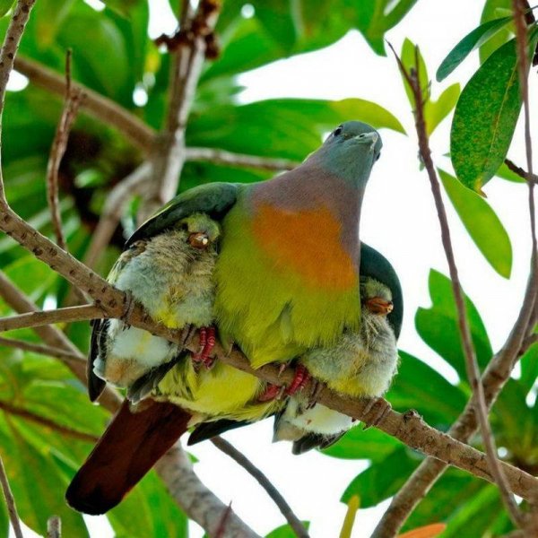 krasivye-fotografii-20