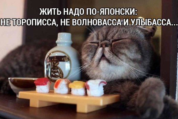 Котэ японес