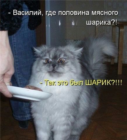 IMG-20140517-WA0017