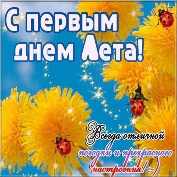 IMG-20210601-WA0010