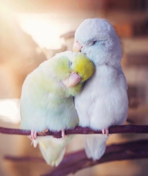 E7459A62-9ED8-4609-A5F4-D8A099F61ABF