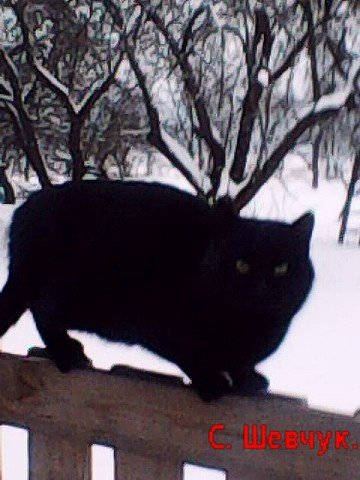 Фото С.Шевчук