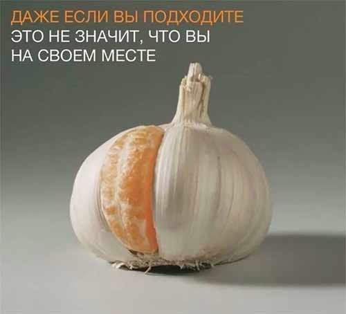 d04af78 19611751