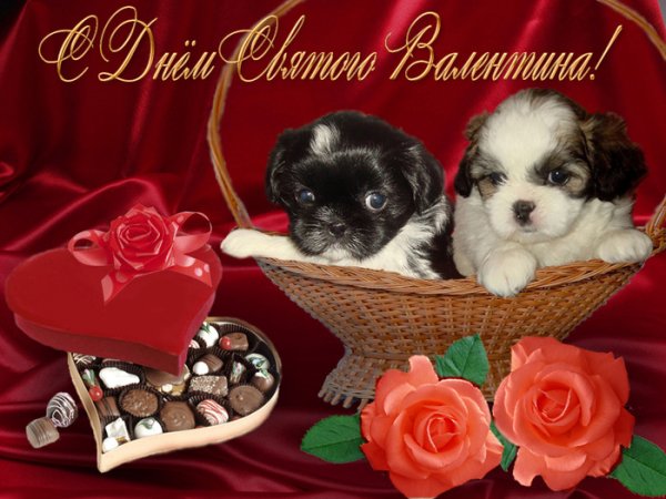 С Днем Св. Валентина
