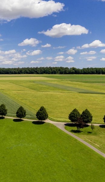 Screenshot 20260306-121854 One UI Home