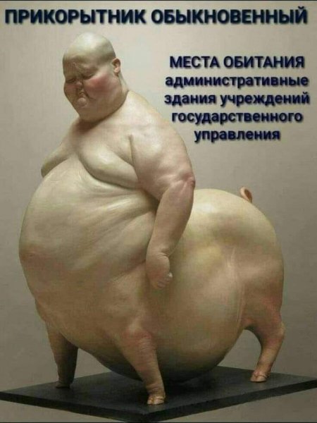 FB IMG 1700255043712