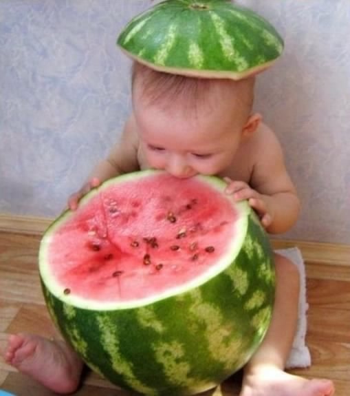 И панамка и обед