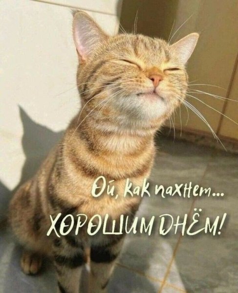 ce62824cc917fe033f5f