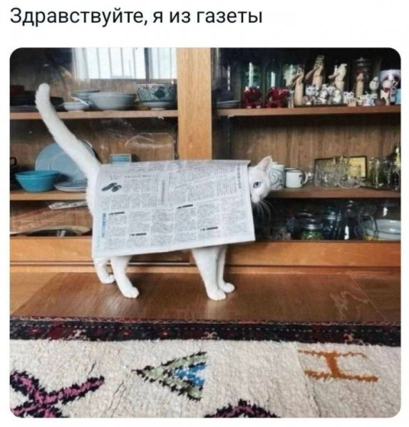 fd70d7d 00000000000